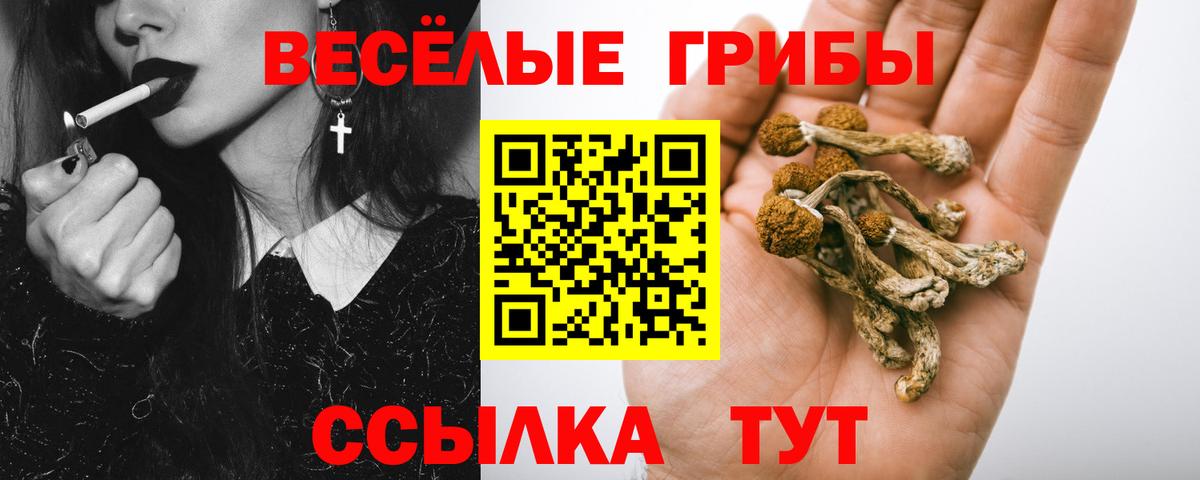 Галлюциногенные грибы ЛСД  Вход с VPN  Галлюциногенные грибы Psilocybine cubensis  Севастополь 